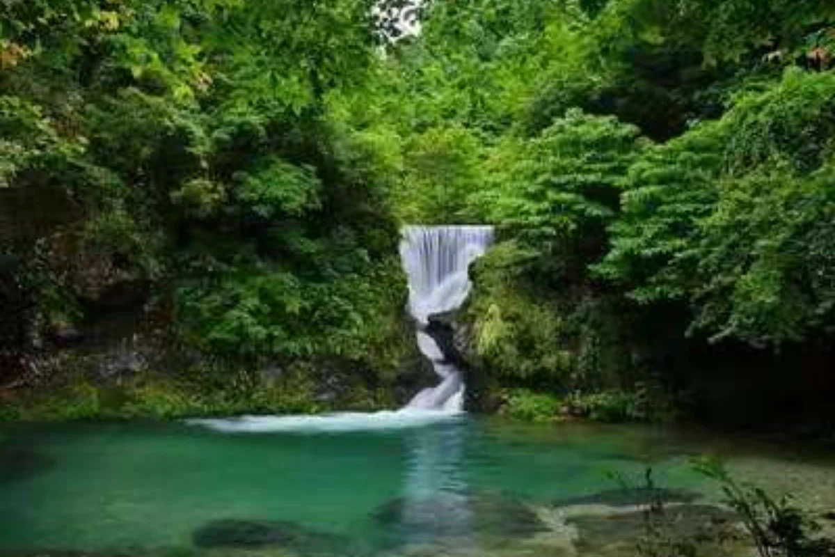 South Korea to Lushan travel South Korea to Lushan travel